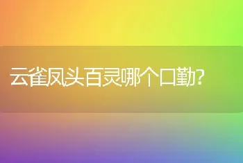 云雀凤头百灵哪个口勤？