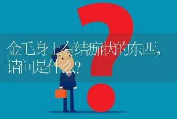 金毛身上有结痂状的东西，请问是什么？