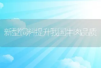 新型饲料提升我国牛肉品质