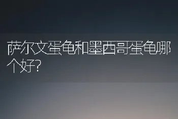 萨尔文蛋龟和墨西哥蛋龟哪个好？