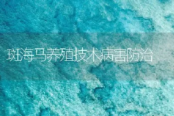 斑海马养殖技术病害防治