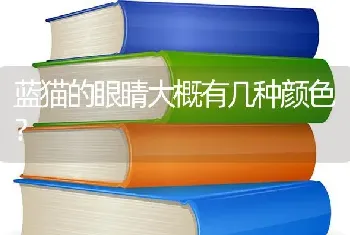 蓝猫的眼睛大概有几种颜色？