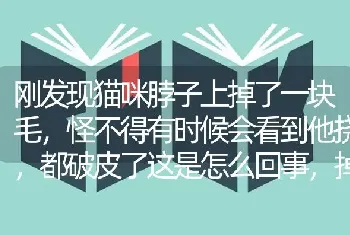 母金毛和公土狗杂交了生出的狗狗像妈妈还是爸爸？