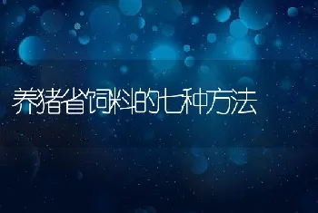 养猪省饲料的七种方法