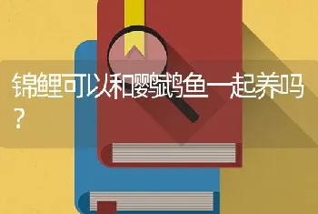 锦鲤可以和鹦鹉鱼一起养吗？