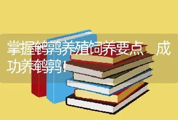 掌握鹌鹑养殖饲养要点 成功养鹌鹑！