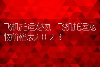 飞机托运宠物，飞机托运宠物价格表2023