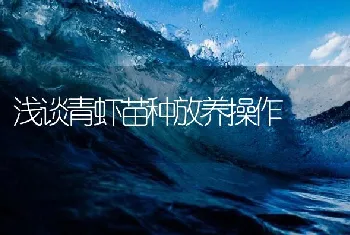 浅谈青虾苗种放养操作