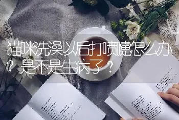 猫咪洗澡以后打喷嚏怎么办?是不是生病了？