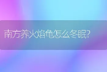 南方养火焰龟怎么冬眠？