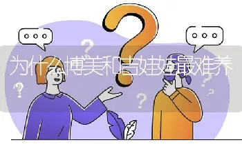 为什么博美和吉娃娃最难养？