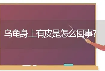 乌龟身上有皮是怎么回事？