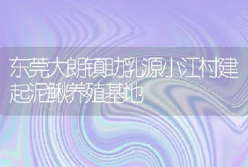 东莞大朗镇助乳源小江村建起泥鳅养殖基地