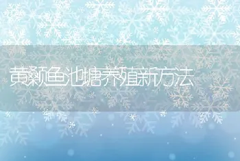 黄颡鱼池塘养殖新方法