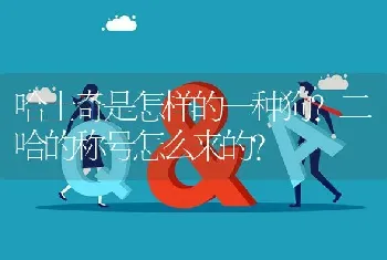 哈士奇是怎样的一种狗？二哈的称号怎么来的？