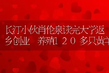 长汀小伙肖伦泉读完大学返乡创业 养殖120多只黄羊