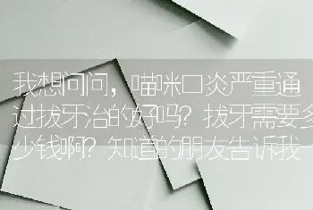 我想问问，喵咪口炎严重通过拔牙治的好吗？拔牙需要多少钱啊？知道的朋友告诉我一下？