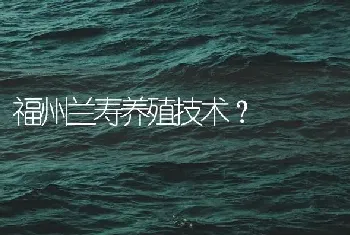 福州兰寿养殖技术？