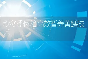 青虾春季高产养殖要点