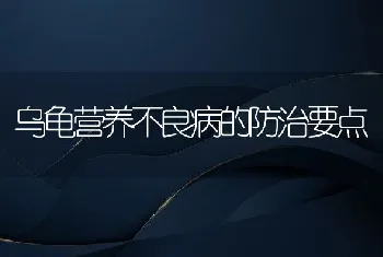 乌龟营养不良病的防治要点