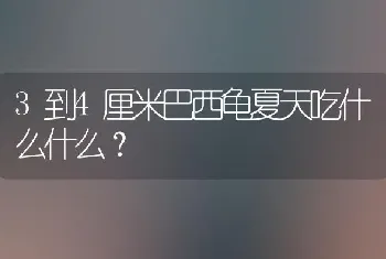 3到4厘米巴西龟夏天吃什么什么？