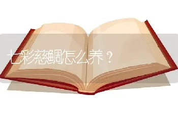 七彩慈鲷怎么养？