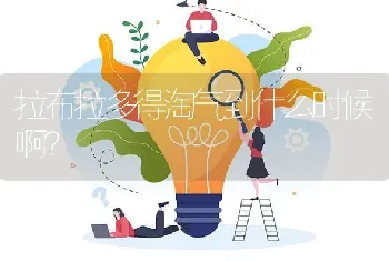 拉布拉多得淘气到什么时候啊？