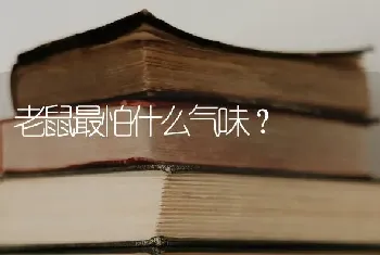 罗威纳几个月认主？