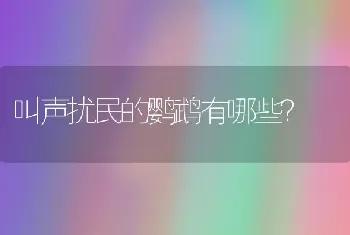 叫声扰民的鹦鹉有哪些？