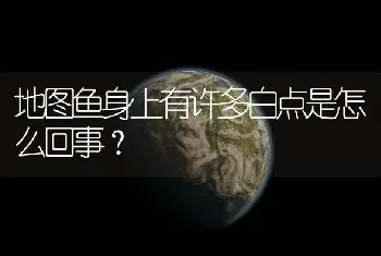 地图鱼身上有许多白点是怎么回事？