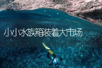 小小水族箱装着大市场