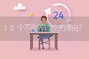 16个不能养边牧的理由？