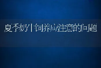 夏季奶牛饲养应注意的问题