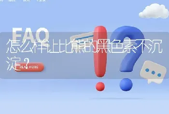 怎么样让比熊的黑色素不沉淀？