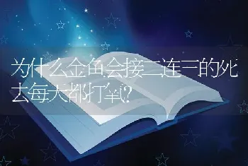 为什么金鱼会接二连三的死去每天都打氧？