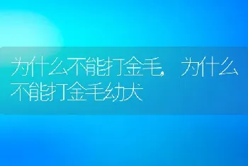 为什么不能打金毛，为什么不能打金毛幼犬