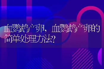 血鹦鹉产卵，血鹦鹉产卵的简单处理方法？