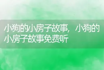 小狗的小房子故事，小狗的小房子故事免费听