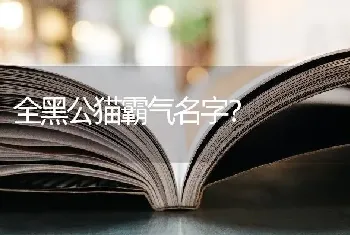 全黑公猫霸气名字？