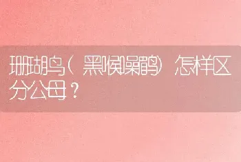 亚洲巨龟怎么分辨野生和人工养的？