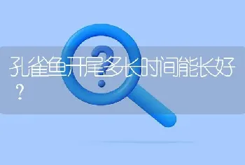 孔雀鱼开尾多长时间能长好？