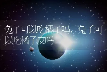 兔子可以吃橘子吗，兔子可以吃橘子皮吗