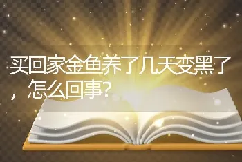 买回家金鱼养了几天变黑了，怎么回事？