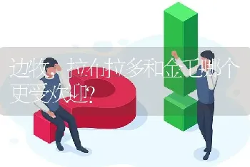 边牧，拉布拉多和金毛哪个更受欢迎？