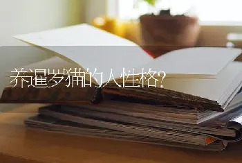 养暹罗猫的人性格？