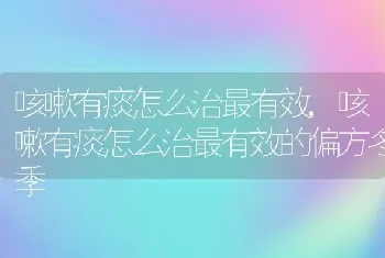 咳嗽有痰怎么治最有效，咳嗽有痰怎么治最有效的偏方冬季