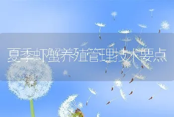 夏季虾蟹养殖管理技术要点