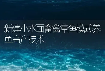 新建小水面畜禽草鱼模式养鱼高产技术