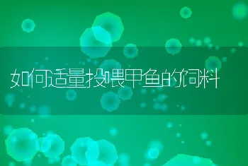 如何适量投喂甲鱼的饲料