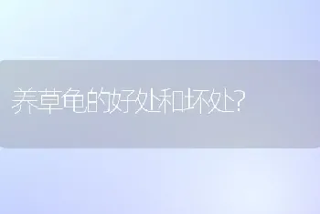 拉布拉多几岁算成年？